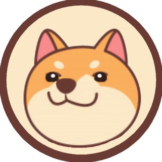 Shiba Inu Shih Tzu