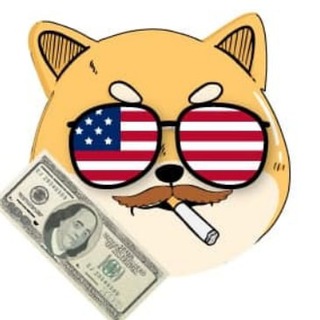 FreedomDoge