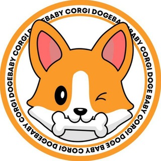 Baby Corgi Doge Coin